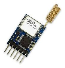 Lora Module